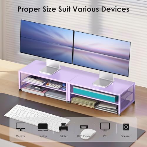 ECOLOVI 2-Tier Computer Monitor Stand Riser, Printer & Laptop Stand, Office Desk Accessories, Workspace Desk Organizer f