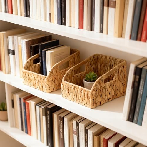 Pantry Baskets for Organizing，Wicker Storage Bins,S -2 pcs,Natural