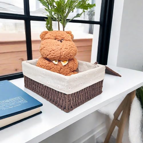 GIB Small Wicker Storage Baskets with Lid/Liner Woven Cute Decorative Boxes