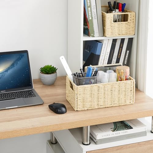 Vagusicc Wicker Storage Basket, Set of 2 Hand-Woven Paper Rope Wicker Basket, Small Storage Baskets for Organizing Toile
