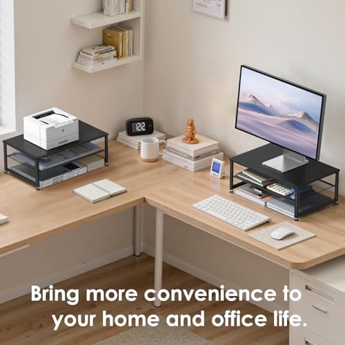 ECOLOVI 2-Tier Computer Monitor Stand Riser, Printer & Laptop Stand, Office Desk Accessories, Workspace Desk Organizer f