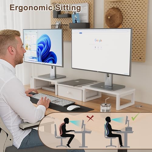 LAND·VOI Heavy Duty Dual Monitor Stand, Holds 2 Screens Up to 27 Inches, Adjustable Length and Angle Monitor Riser, Desk