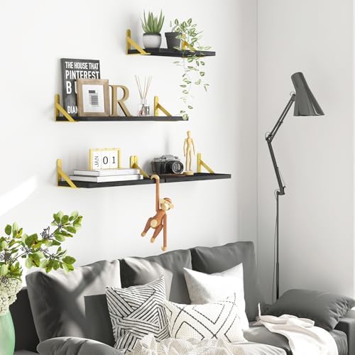YGEOMER 4 Different Sizes Floating Shelves for Wall Decor, Black and Gold