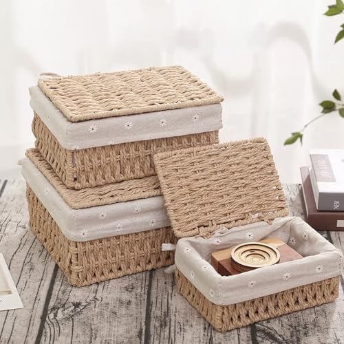 GIB Small Wicker Storage Baskets with Lid/Liner Woven Cute Decorative Boxes