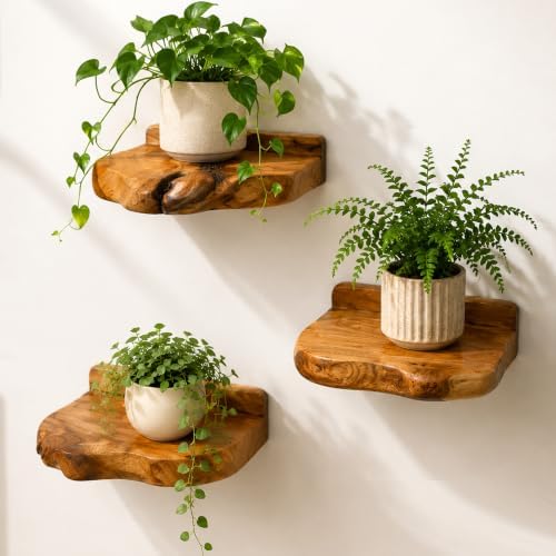 Small Floating Shelf for Wall Set of 3 Natural Cedar Wood 6 Inch Mini Wall Shelves Decor Plant Display Collectibles Moun