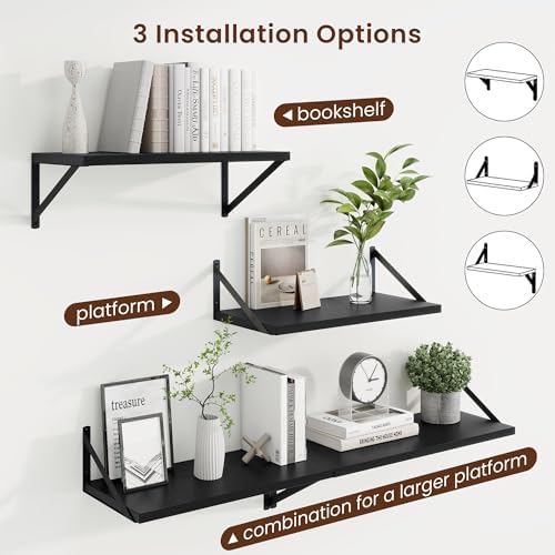 Axeman 20 Inch Floating Shelves, 10 Inch Deep Black Wall Shelves Set of 2