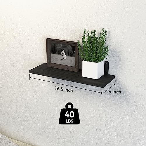 DOLLFIO Floating Wall Shelves, Decor & Storage, Black, 16.5'', 5Pcs