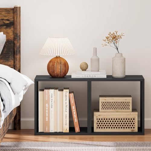 LOKO Stackable 2 Cube Storage Organizer, 2-Tier Bookshelf (1, Black)