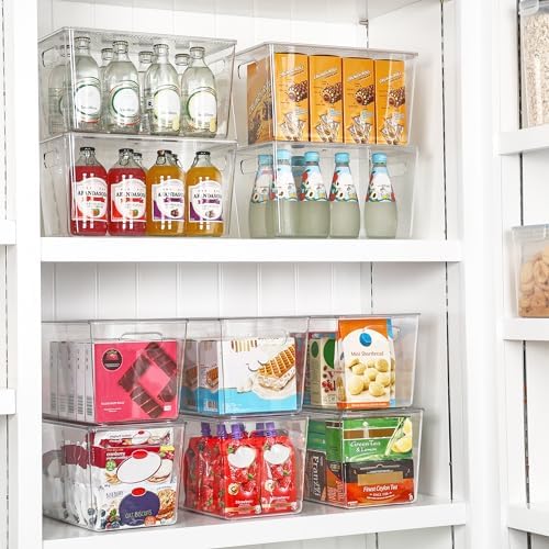 Vtopmart 10 Pack Clear Stackable Storage Bins with Lids and Handles, XLarge