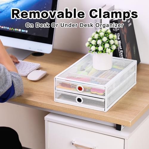 ROSYLINE Under Desk & Desktop Drawer Organizer, 2-Tier Big Capacity