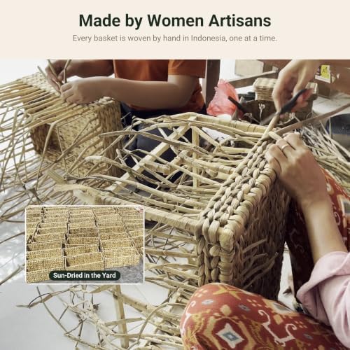 Wicker Storage Baskets for Shelves, 2 Pack, 12" x 8" x 4" | Small Woven Baskets for Organizing, Water Hyacinth Baskets, 
