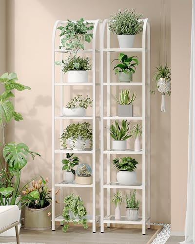Hzuaneri Bookcase Bookshelf, Tempered Glass Arched Bookshelf