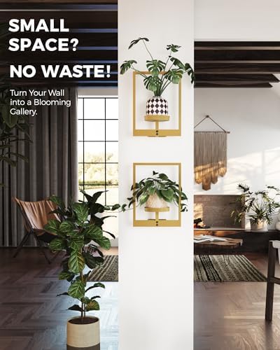 Bamworld Wall Plant Holder Plant Stand Indoor Wall Planters Gold