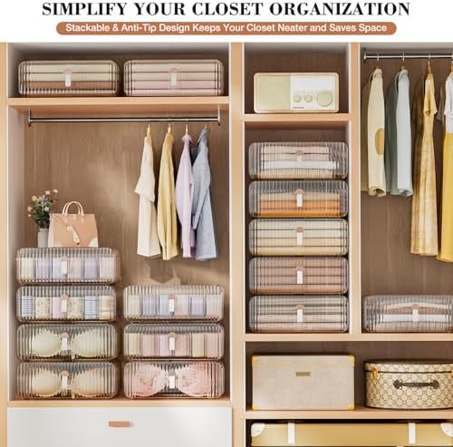 Neprock Underwear Drawer Organizer - Stackable Bra Organizer for Closet, 1 Cell Clear Acrylic Bra Storage Box, Closet Or