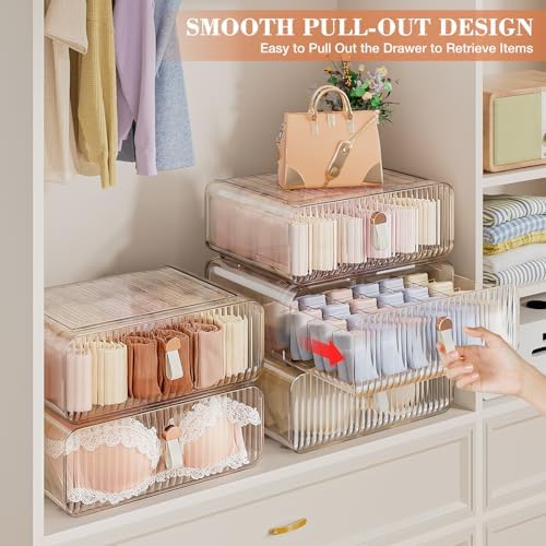 Neprock Underwear Drawer Organizer - Stackable Bra Organizer for Closet, 1 Cell Clear Acrylic Bra Storage Box, Closet Or