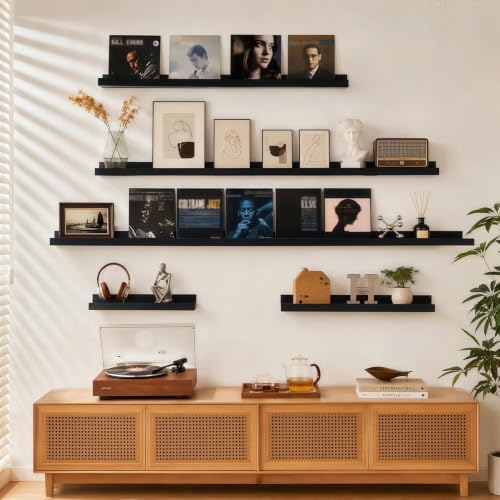 24inch Long Floating Shelves for Wall Decor, 3-Set Shelves with Lip, Black