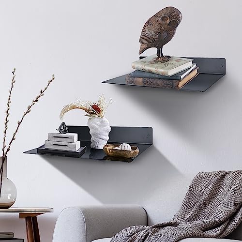 RealPlus Metal Floating Shelf Wall Mounted (12 inch x 8 inch) Heavy Duty Industrial Modern Steel Display Shelves, Black 