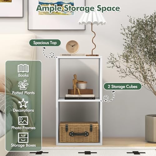 DORTALA 2 Cube Bookcase Set of 2, Floor Standing Bookshelf with Open Back, Anti-Tipping Kits, Modern Storage Organizer D
