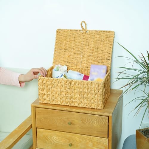 Handwoven Paper Rope Basket with Lid Storage Organizer