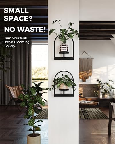 Bamworld Wall Plant Holder Plant Stand Indoor Wall Planters Round