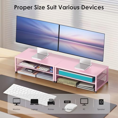 ECOLOVI 2-Tier Computer Monitor Stand Riser, Printer & Laptop Stand, Office Desk Accessories, Workspace Desk Organizer f