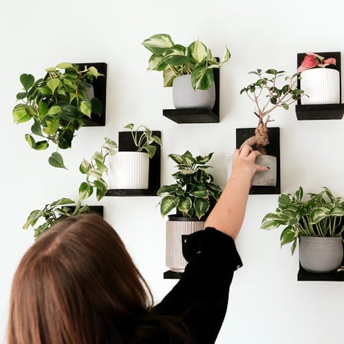 Daniel's Plants 3 Pack Mid-Century Modern L Shaped Wooden Plant Shelf Kit | Wall Mounted Floating Shelves | Solid Wood W
