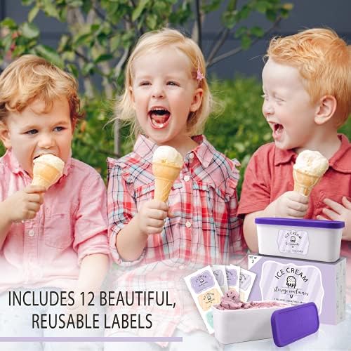 ZICOTO Set of 2 Reusable Ice Cream Tub Containers 1.6 Quart Ea. with Lids