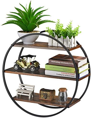 Circle Shelf Wall Decor, 3 Tier Decorative Round Wall Shelf