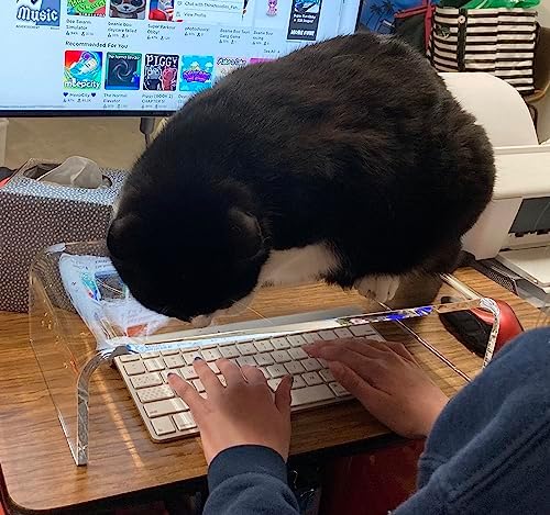 Acrylic Monitor Stand Riser Anti-Cat Laptop Cover Protector, Crystal Clear Laptop Stand, 16 inch Computer Monitor Riser 
