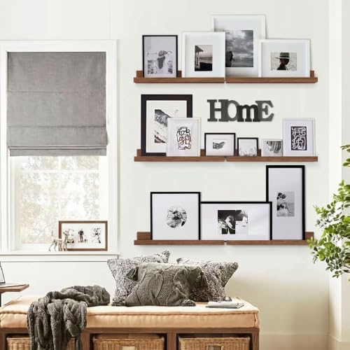 Walnut Brown 24 in Floating Shelves with Lip, Picture Ledge Shelf for Wall
