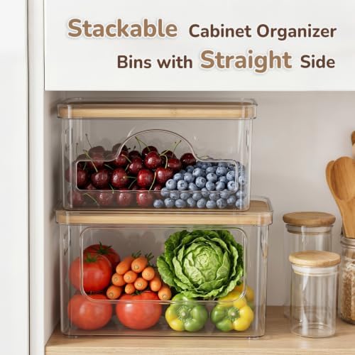 Hudgan Potato Onion and Garlic Storage Bin for Pantry Organizers, 3 Packs