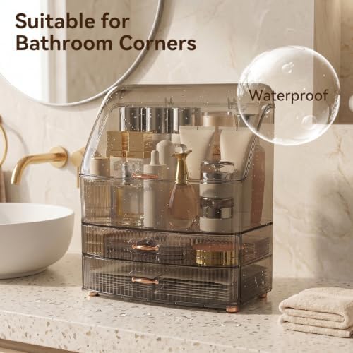 Makeup Organizer Countertop for Vanity with Lid and 2 Drawers, Clear Black