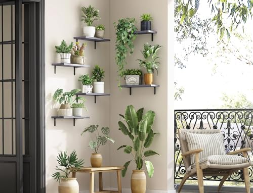 Fixwal Wood Floating Shelves Set of 6, Wall Mounted - Farmhouse Shelf for Bedroom, Bathroom Storage - Grey