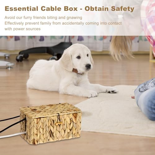 BTSKY Woven Cable Management Box with Lid Water Hyacinth Cord Organizer, S