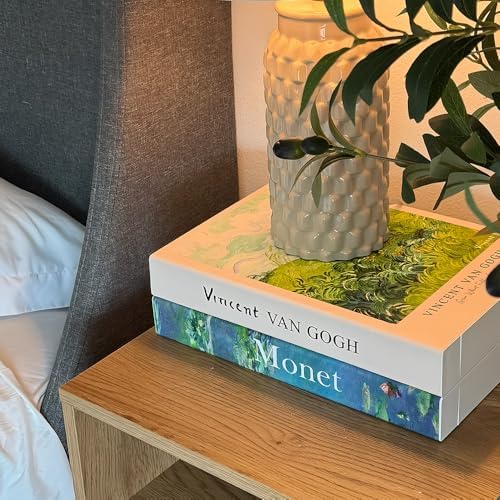 Decorative Cable Management Box - Book Shape Cord Organizer Box with Magnetic Closure for Home & Office (GoghMonet, Stan
