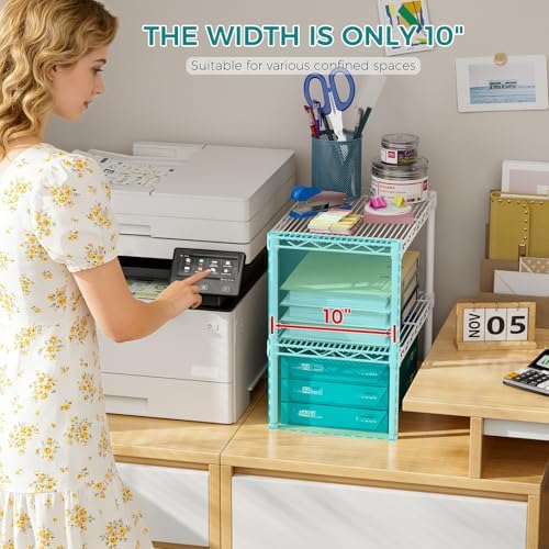 SINGAYE Bookshelf Shelves Bookcase Shelf 2 Tier Wire Shelving Adjustable