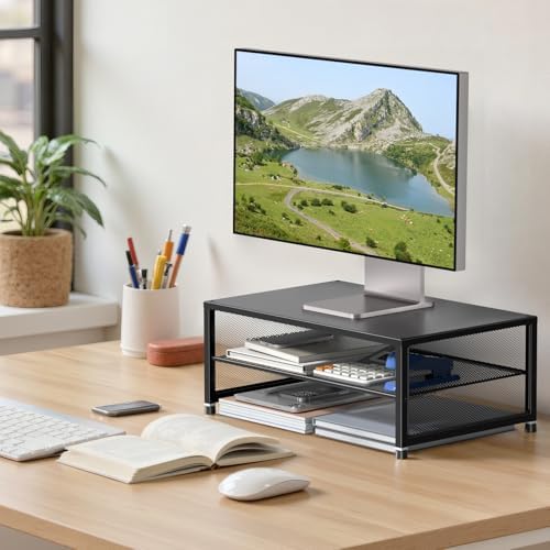 ECOLOVI 2-Tier Computer Monitor Stand Riser, Printer & Laptop Stand, Office Desk Accessories, Workspace Desk Organizer f