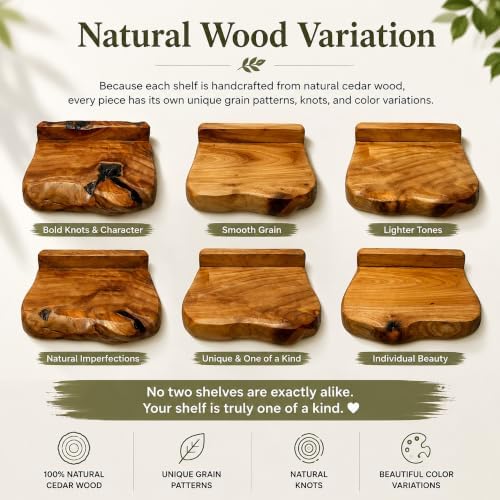 Small Floating Shelf for Wall Set of 3 Natural Cedar Wood 6 Inch Mini Wall Shelves Decor Plant Display Collectibles Moun