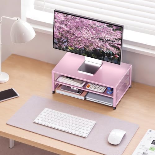 ECOLOVI 2-Tier Computer Monitor Stand Riser, Printer & Laptop Stand, Office Desk Accessories, Workspace Desk Organizer f
