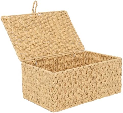 Handwoven Paper Rope Basket with Lid Storage Organizer