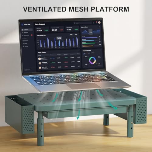 WALI Computer Monitor Stand with Storage and Pen Holder