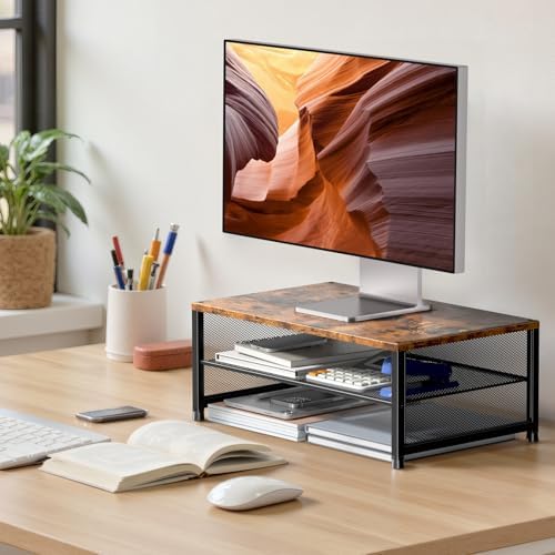 ECOLOVI 2-Tier Computer Monitor Stand Riser, Printer & Laptop Stand, Office Desk Accessories, Workspace Desk Organizer f