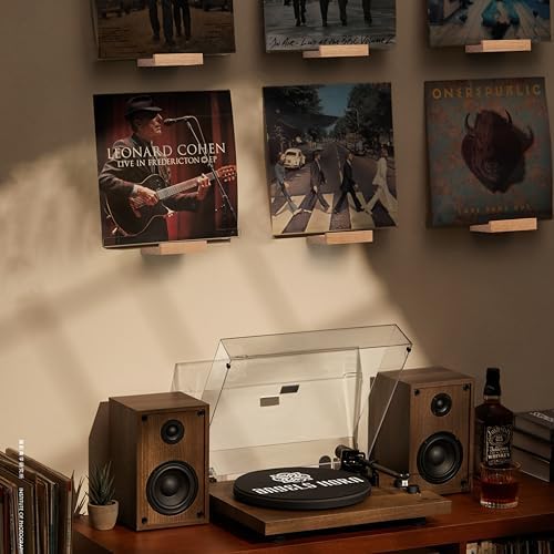 Vinyl Record Shelf Wall Mount,Small Record Holder,Natural Wood,6Pcs