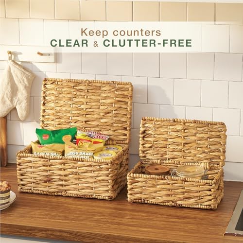 84ECO Set of 2 Wicker Baskets with Lid - Decorative Storage Boxes for Home Decor, Shelves - Woven Basket with Lid - Wicker Decor - Rattan Box - Decorative Bins with Lids (Natural)