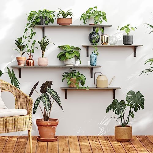 DINZI LVJ Long Wall Shelves, 23.6Inch Wooden Wall Mounted Shelves, Set of 2