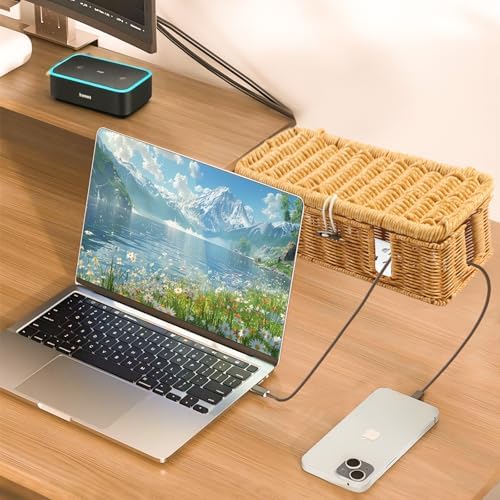 Cable Management Box - 2 Pack Cord Hider Organizer Boxs - Small & Medium Szie Power Cover Cord Box, Handwoven Rattan Cab