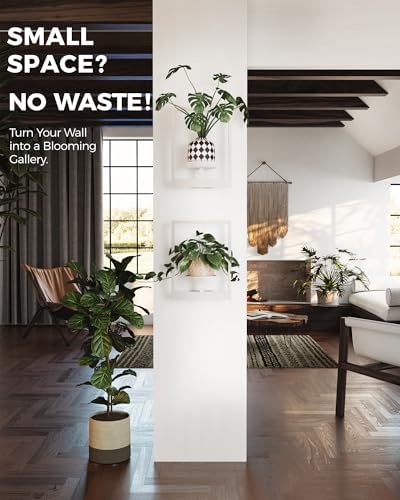 Bamworld Wall Plant Holder Plant Stand Indoor Wall Planters White