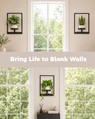 Bamworld Hanging Planters for Indoor Plants Wall Decor Living Room
