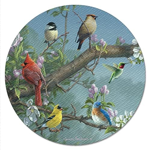 CounterArt Beautiful Songbirds 4mm Tempered Glass Lazy Susan Turntable