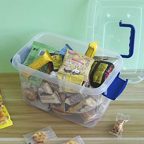 Small Plastic Storage Box with Lid, Clear Storage Box, Set of 6